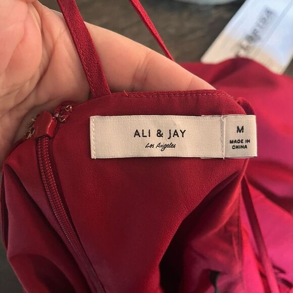 Ali & Jay Burgundy Tiered Spaghetti Strap A-Line Mini Dress sz M - Picture 4 of 5